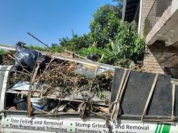 Best Attic Cleanout  in Pawnee, OK